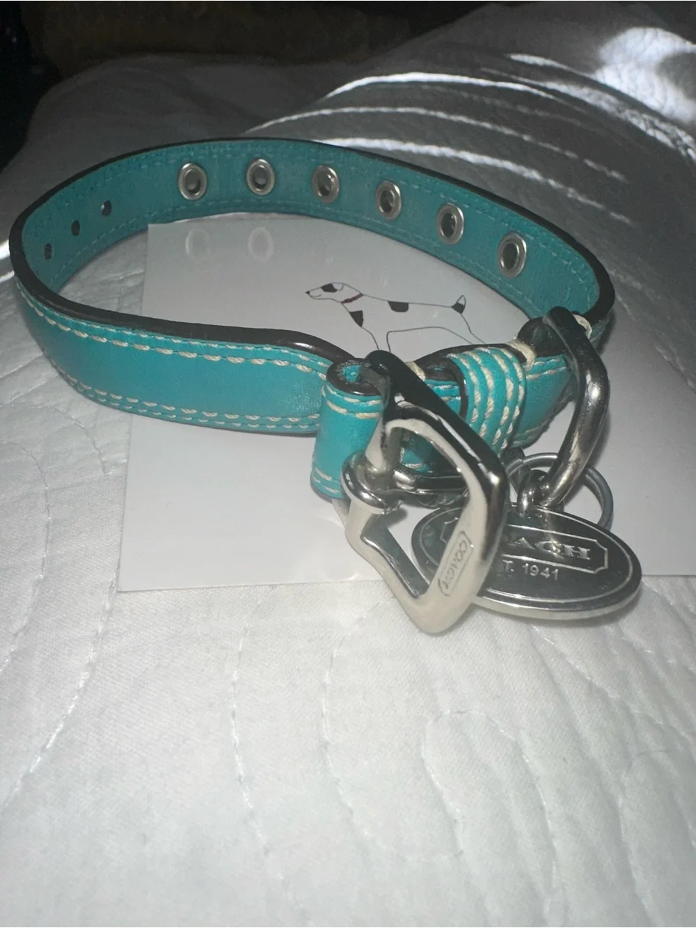 Coach XS Teal Leather Dog Collar with Silver Hardware
